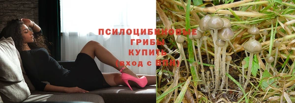 ECSTASY Заводоуковск