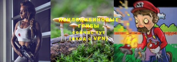 кристаллы Ельня