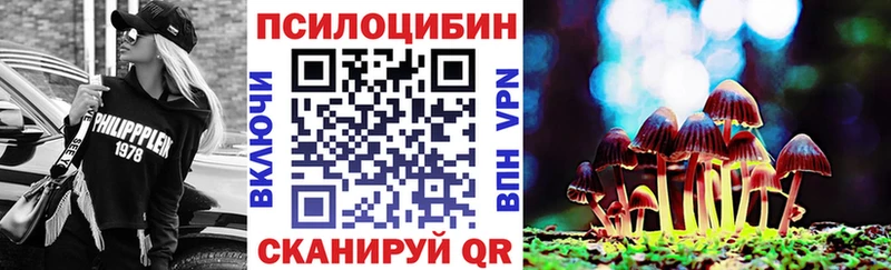 Купить закладки  Железноводск  Псилоцибиновые грибы прущие грибы 